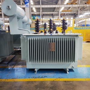 S22 Three Phase Oil Immersed Power Transformer